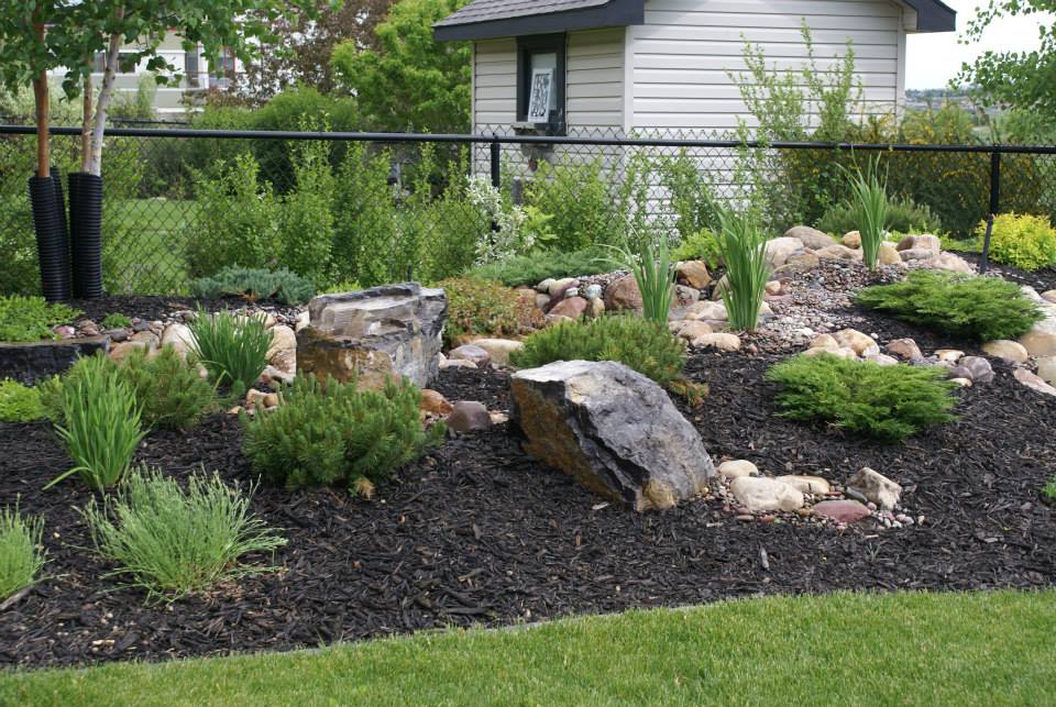 How to Choose the Right Type of Mulch for Garden