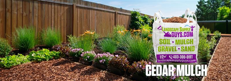 5 Reasons Why Cedar Mulch Is the Best Choice for Your Garden
