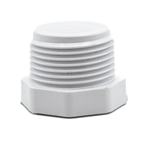 1" PVC Plug Mipt