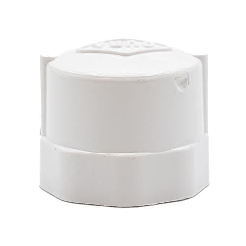 1/2" PVC Cap Fipt