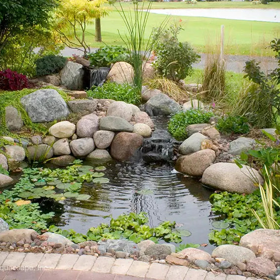 Aquascape Pond Kit