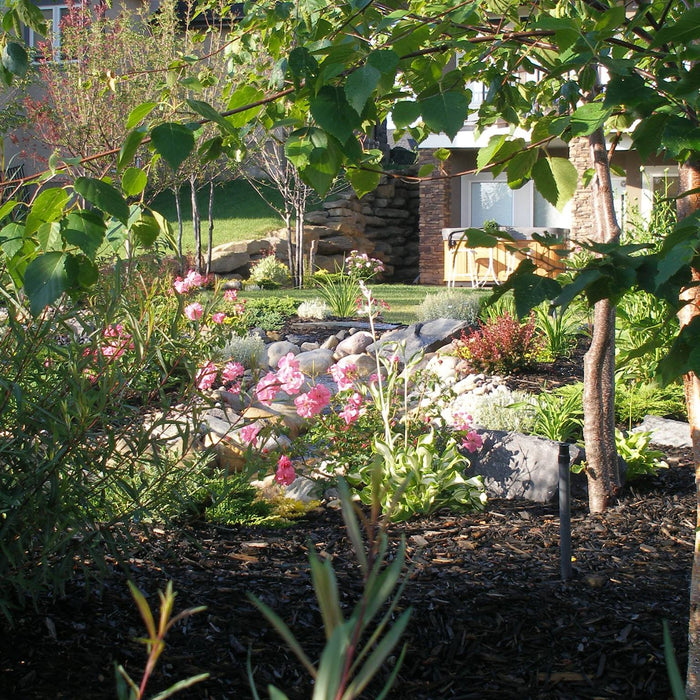 Benefits Of Using Mulch in Your Garden