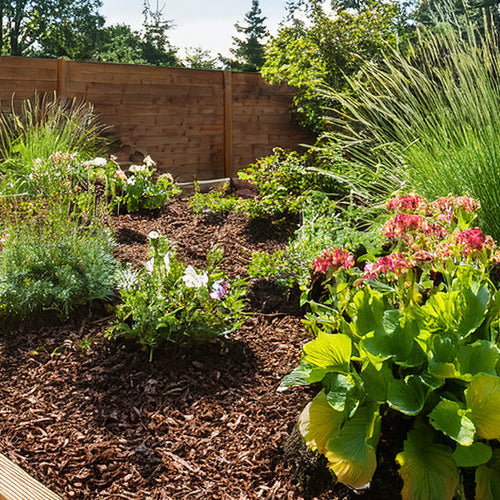 Best Mulch for Calgary Gardens