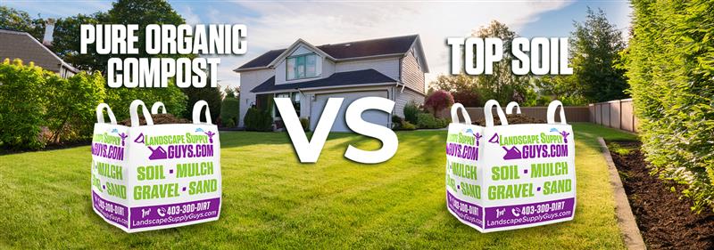 Compost vs Top Soil 