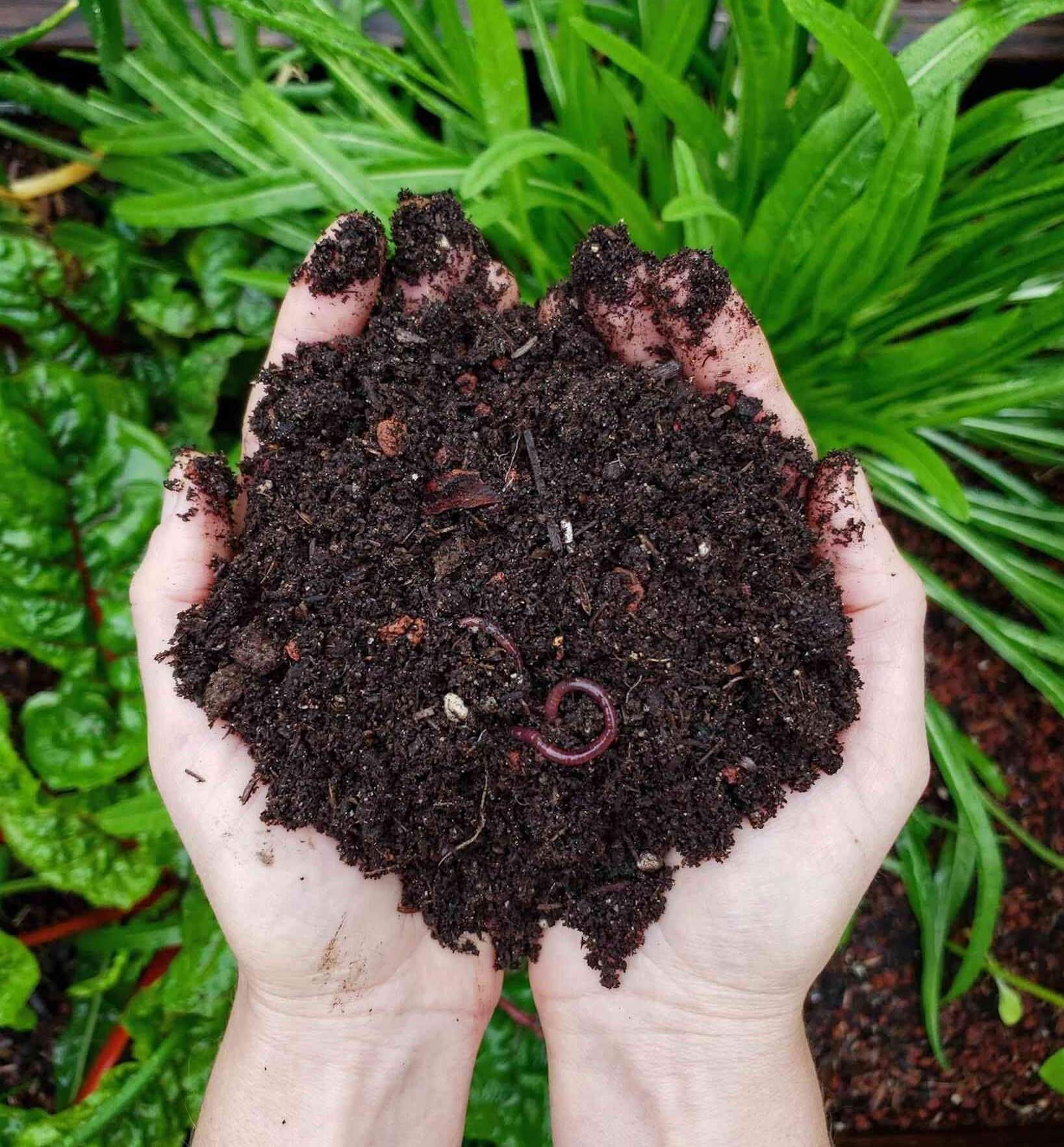Composting soil used in a Calgary garden bed for planting flowers and improving soil quality