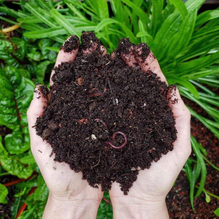 Composting soil used in a Calgary garden bed for planting flowers and improving soil quality