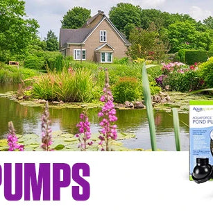 Pond Pump Problems