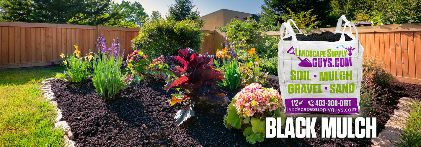 Fresh black mulch in a Calgary flower bed with dark colour and clean landscaping around shrubs and plants