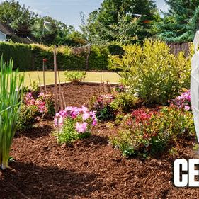 Cedar Mulch: A complete Guide
