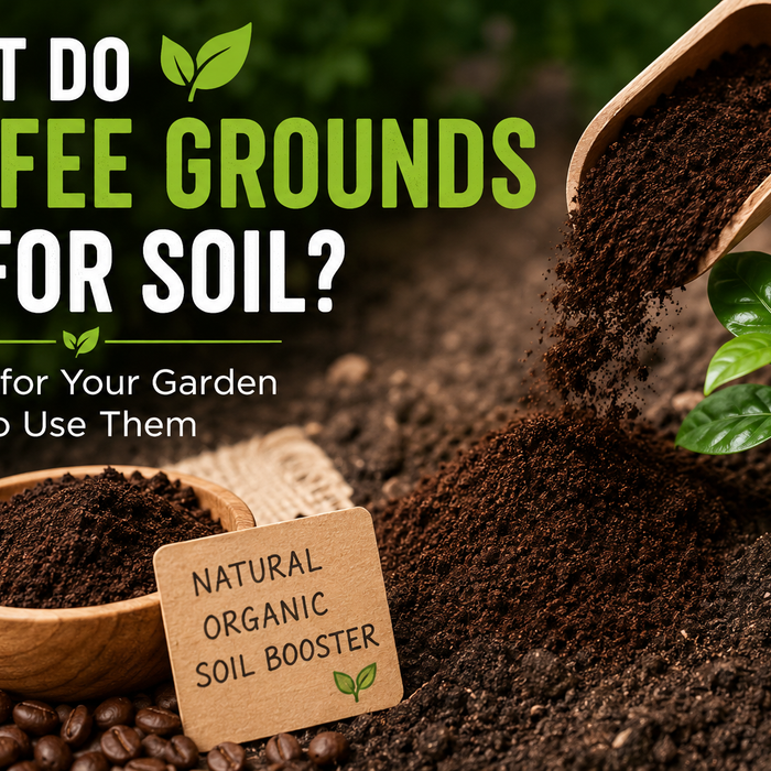 What Do Coffee Grounds Do for Soil
