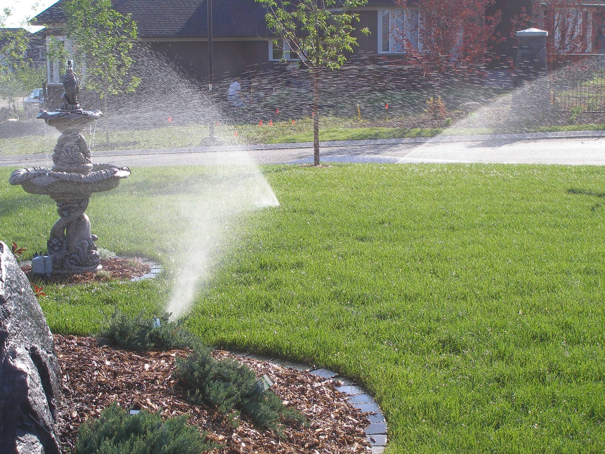 Cedar Mulch What is Cedar Mulch Cedar Mulch Pros and Cons