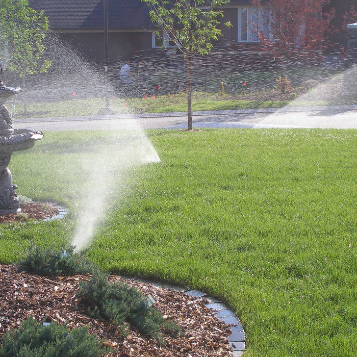 What is Cedar Mulch