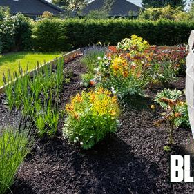 When Is the Best Time to Install Black Mulch?