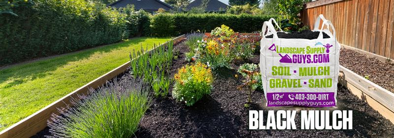 When to Use Black Mulch