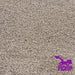 Clsoeup View of Gravel