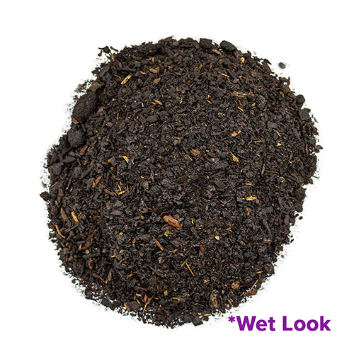 Top View of Clay Buster Wet Look