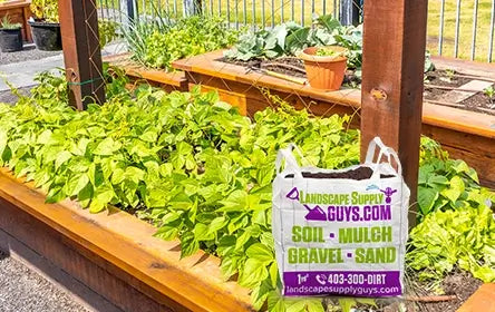 Garden Soil Near Me