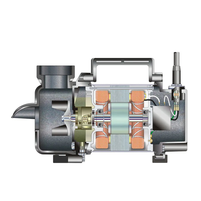 Internal Mechanism of Pump