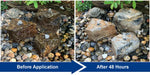 Before and Afrer Compare