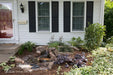 DIY Backyard Waterfall Kit Background