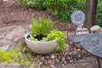 Patio Pond in Image